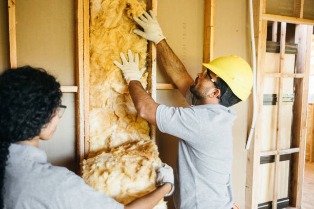 Best Crawl Space Insulation  in Largo, MD